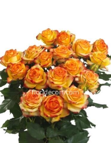 Rose arancio misura media 60 cm