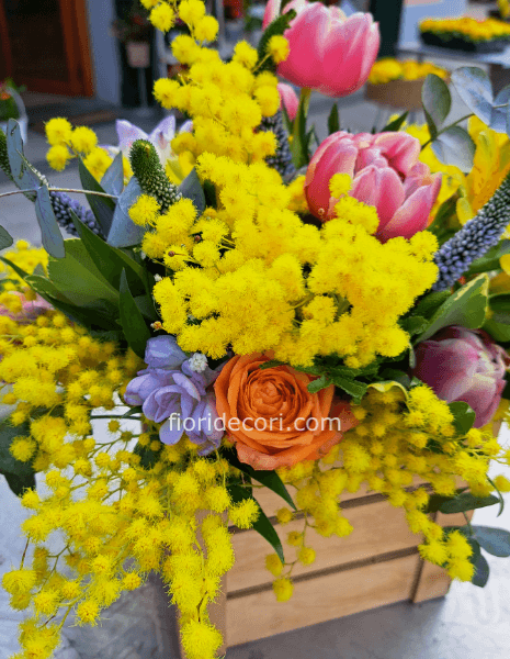 Cassetta floreale con mimosa
