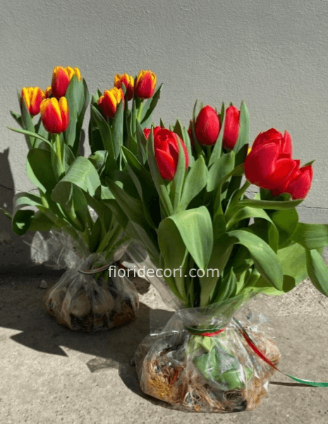 Bulbouquet