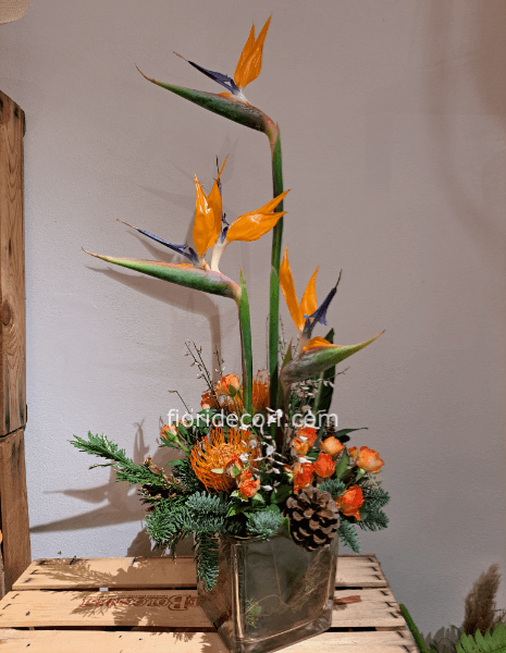 Centrotavola con Sterlizia