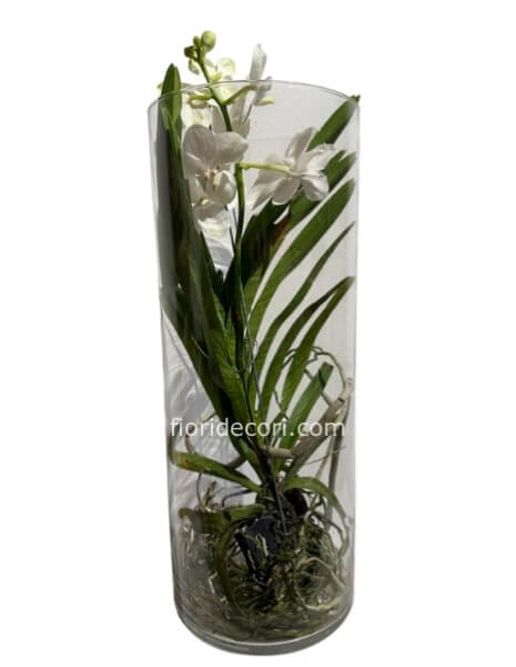 Orchidea vanda bianca in vetro